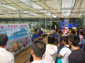 技術(shù)推廣服務(wù)中心 驅(qū)動(dòng)創(chuàng)新落地的核心引擎